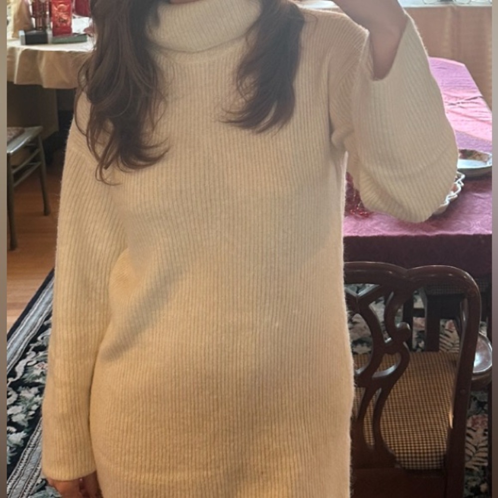 Abercrombie & Fitch Turtleneck Sweater Dress